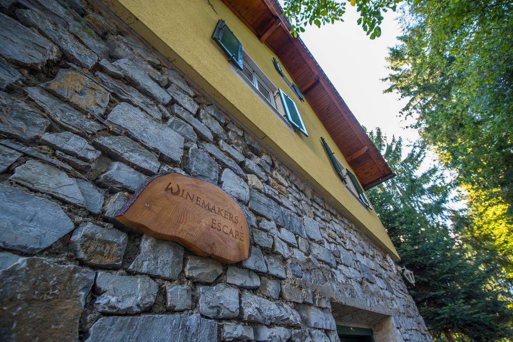 Winemakers Escape Villa Gleisdorf Bagian luar foto